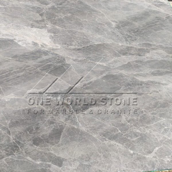 Spider-Grey-one-world-stone