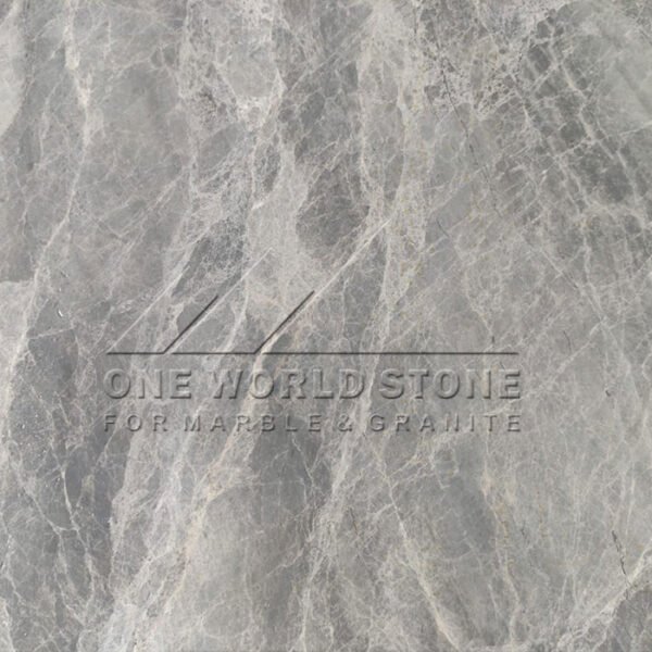 Spider-Grey-one-world-stone