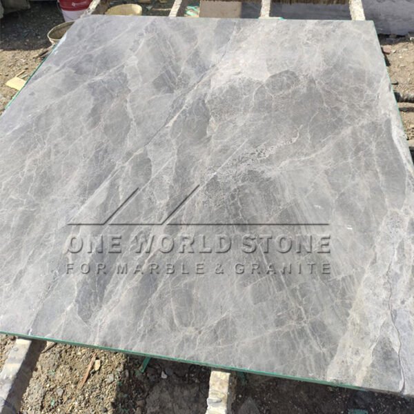 Spider-Grey-one-world-stone